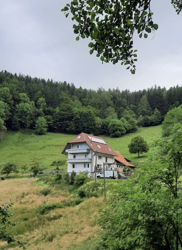 9e18772b-8e98-423d-9cb3-888d3efdf03d