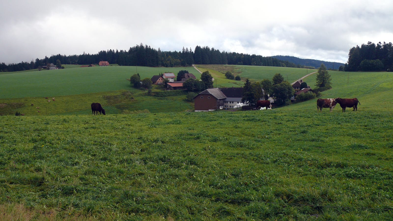 PHOTO-2025-09-14-20-23-24 8