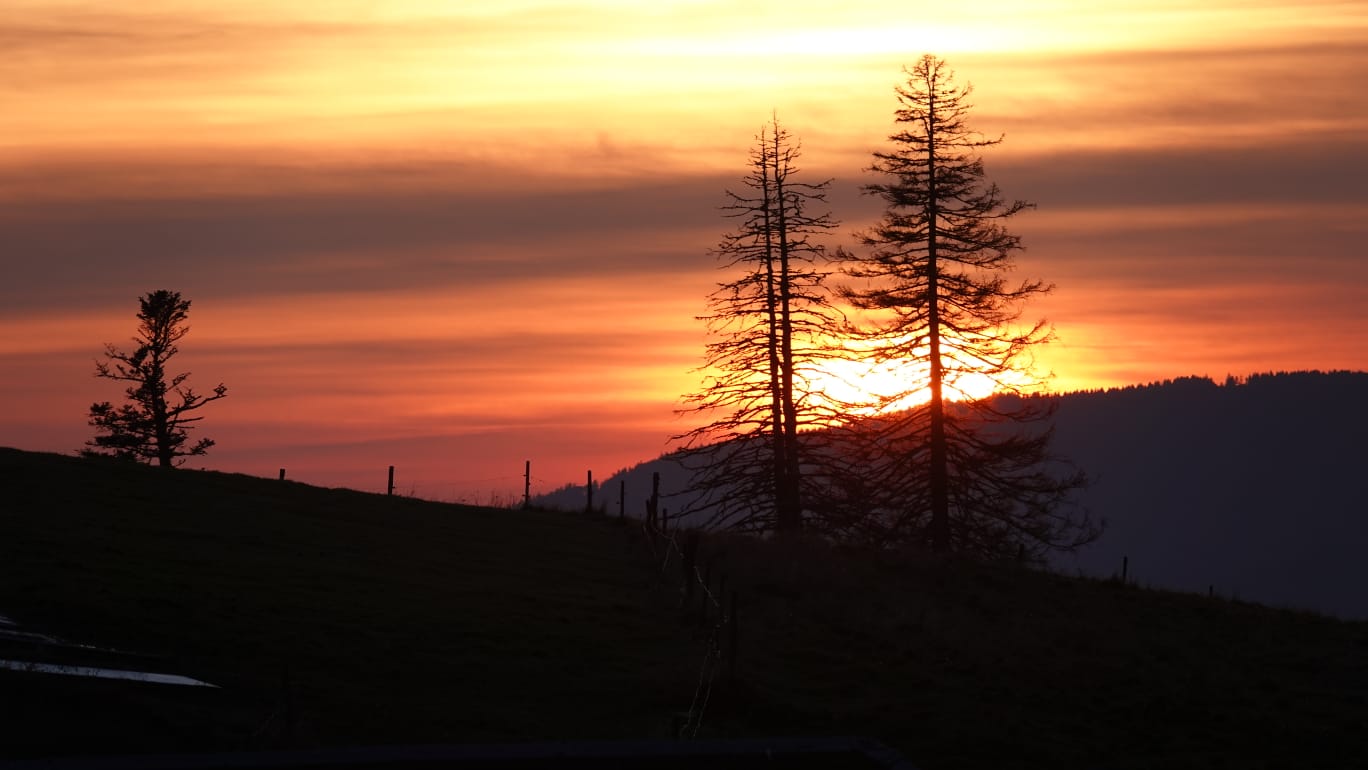 PHOTO-2025-10-20-14-52-50 2