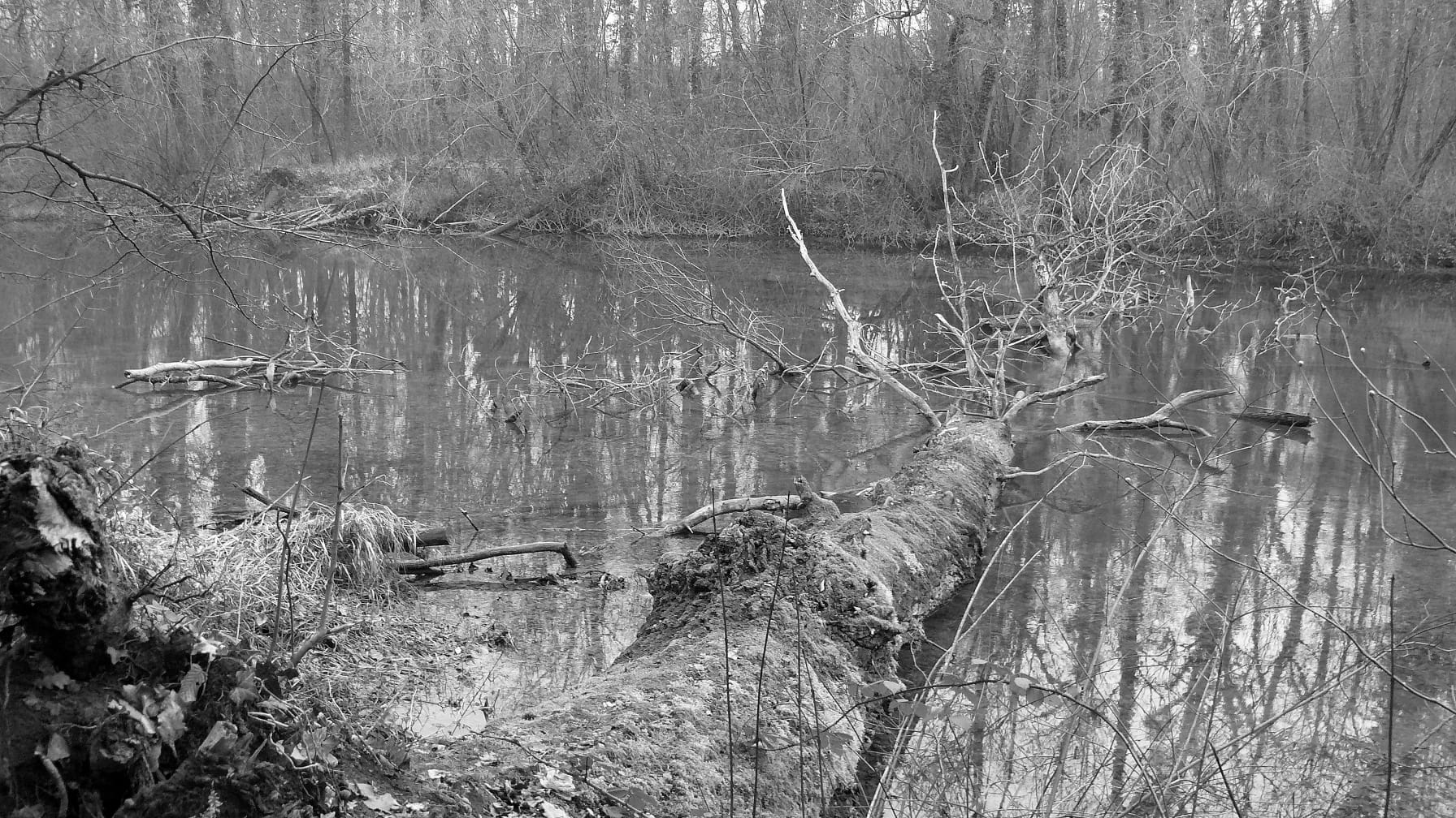 PHOTO-2026-01-26-13-38-55