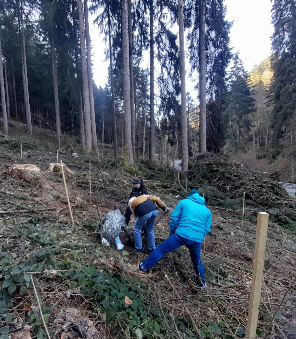 PHOTO-2026-03-20-13-05-15 2