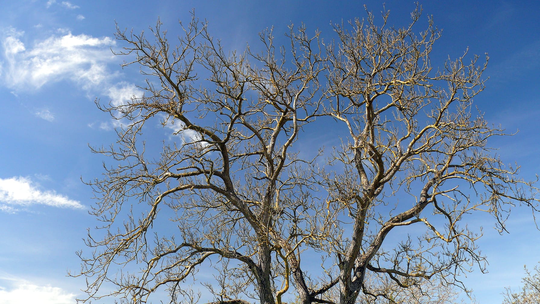 PHOTO-2026-04-07-08-11-08 11