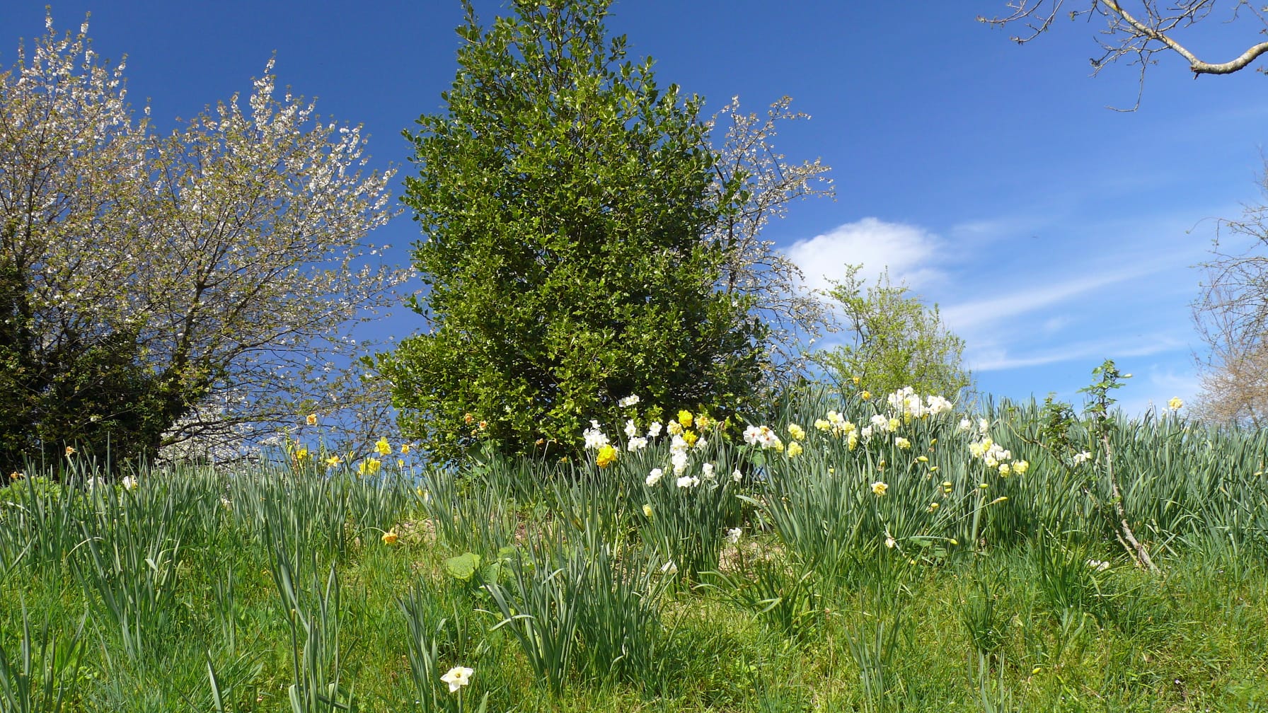 PHOTO-2026-04-07-08-11-08 5