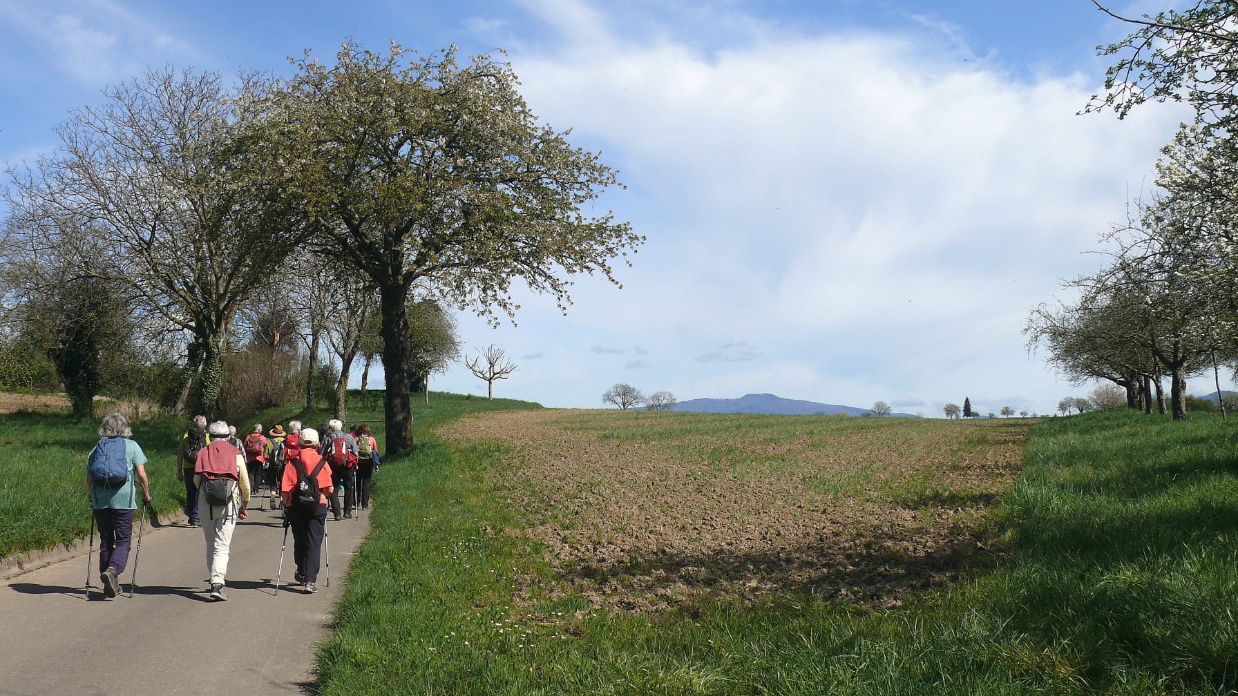 PHOTO-2026-04-07-08-11-08 6