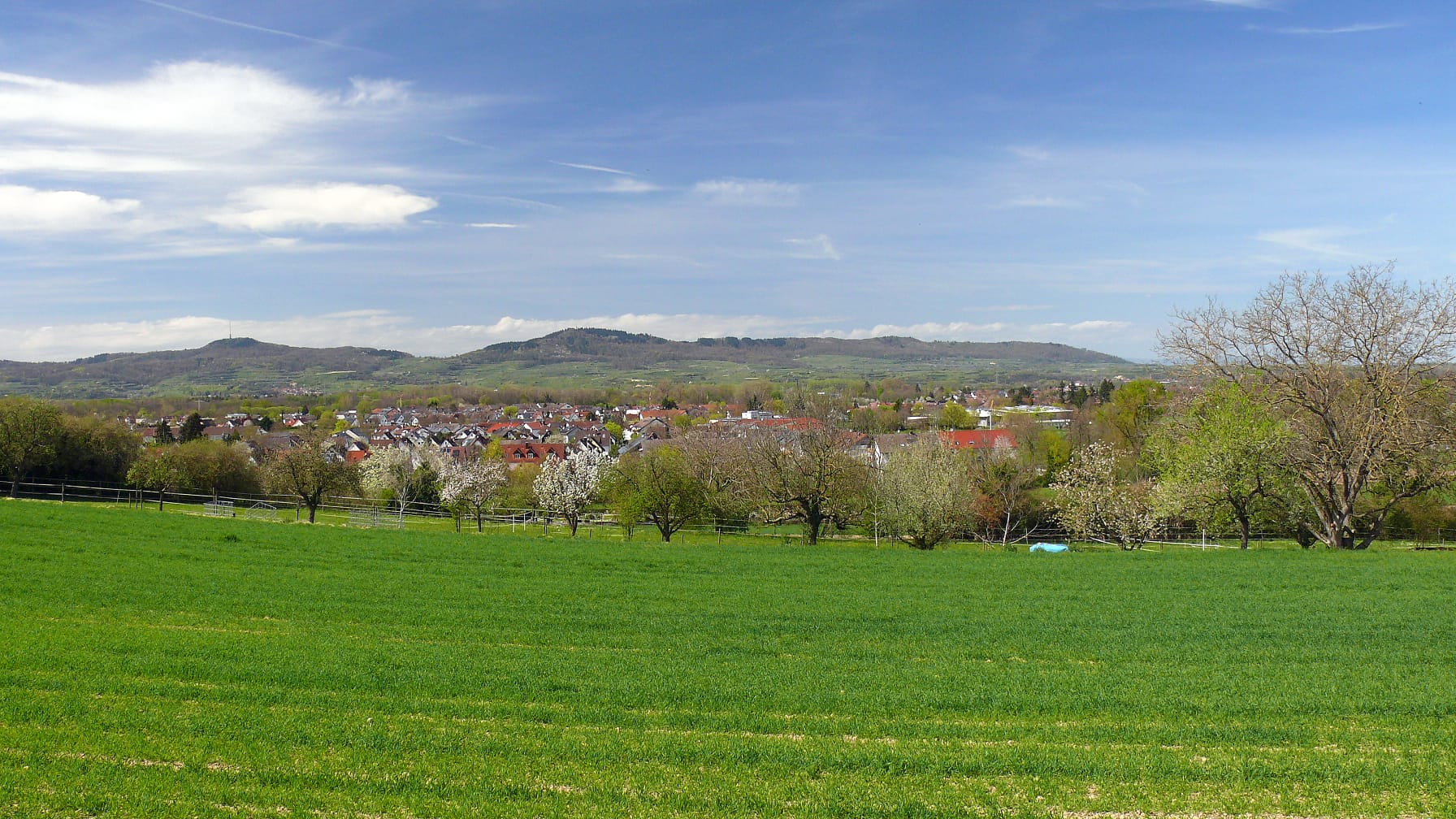 PHOTO-2026-04-07-08-11-08 8