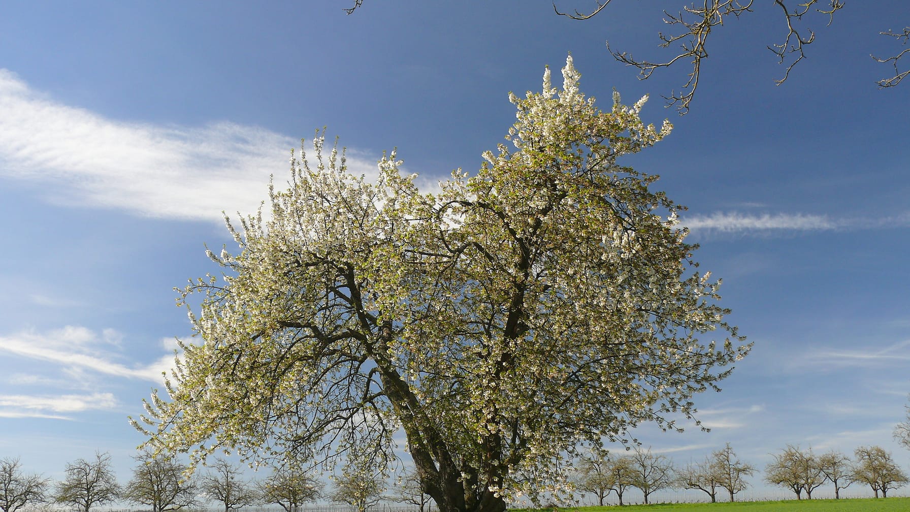 PHOTO-2026-04-07-08-11-09 2