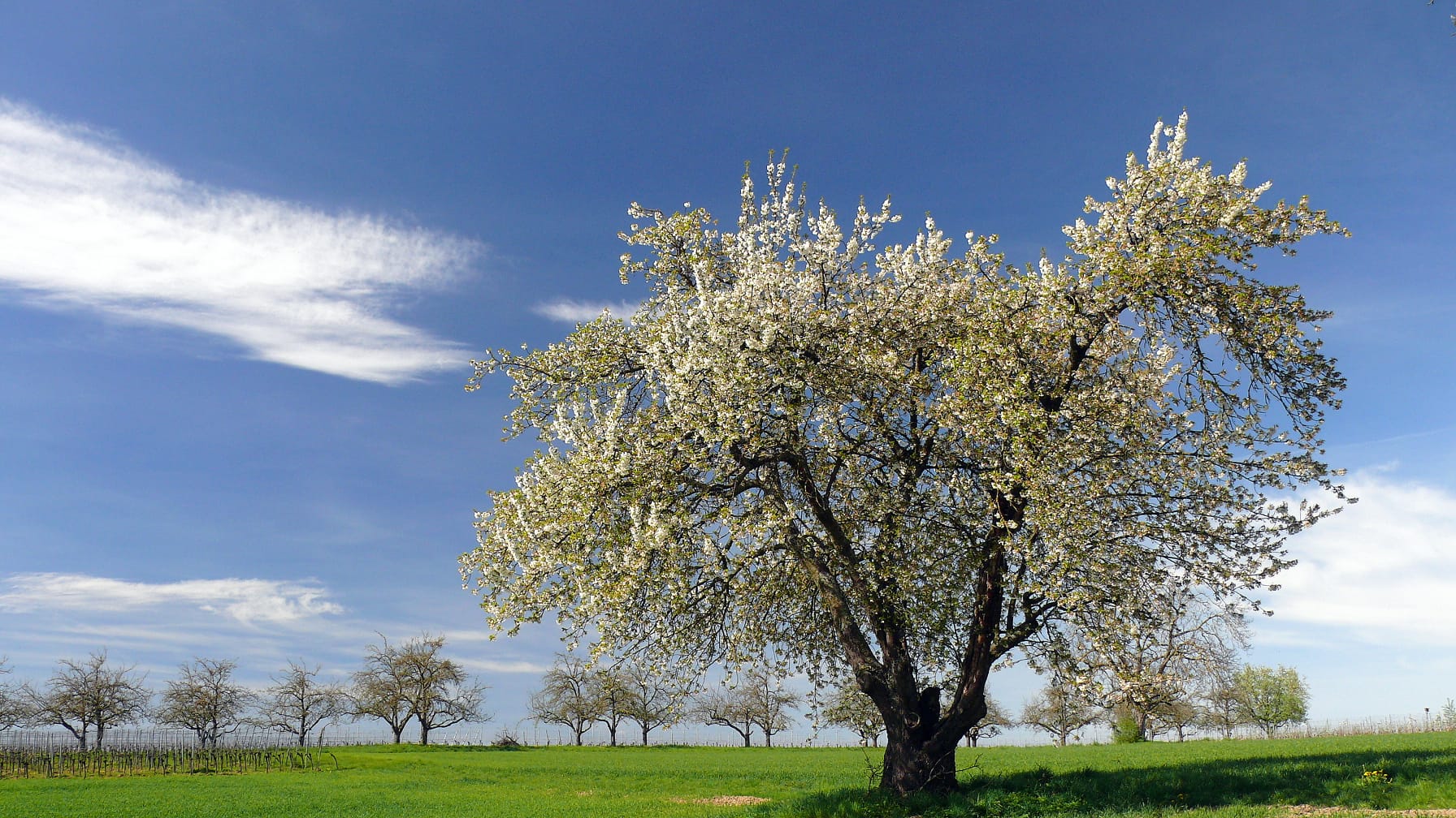 PHOTO-2026-04-07-08-11-09 4