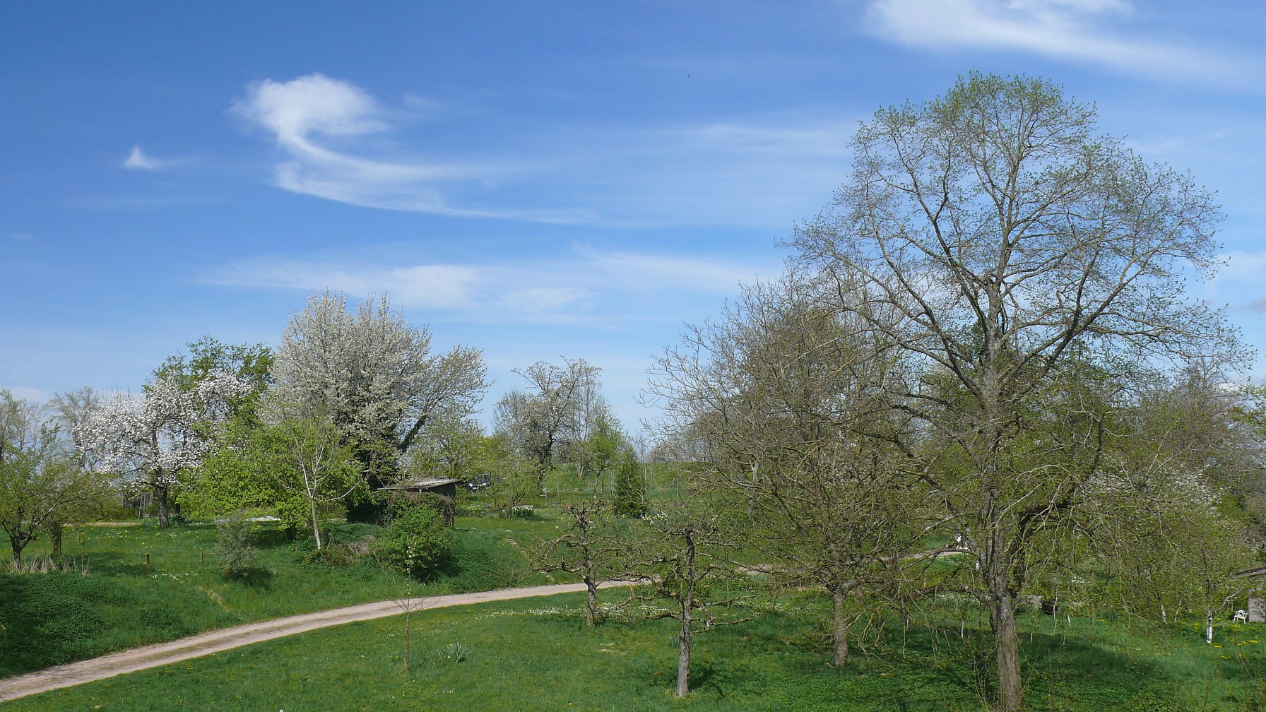 PHOTO-2026-04-07-08-11-09 7