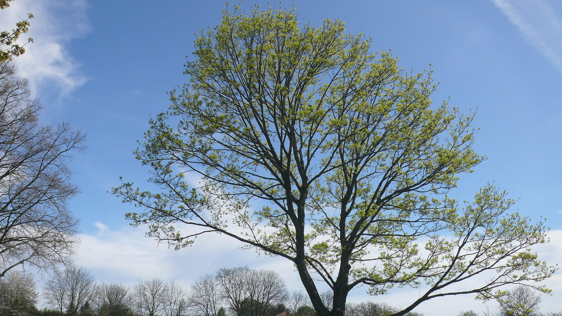 PHOTO-2026-04-07-08-11-09