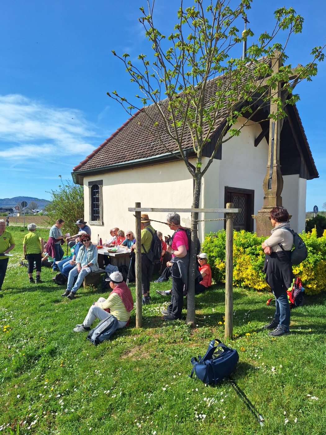 PHOTO-2026-04-07-08-12-48 3