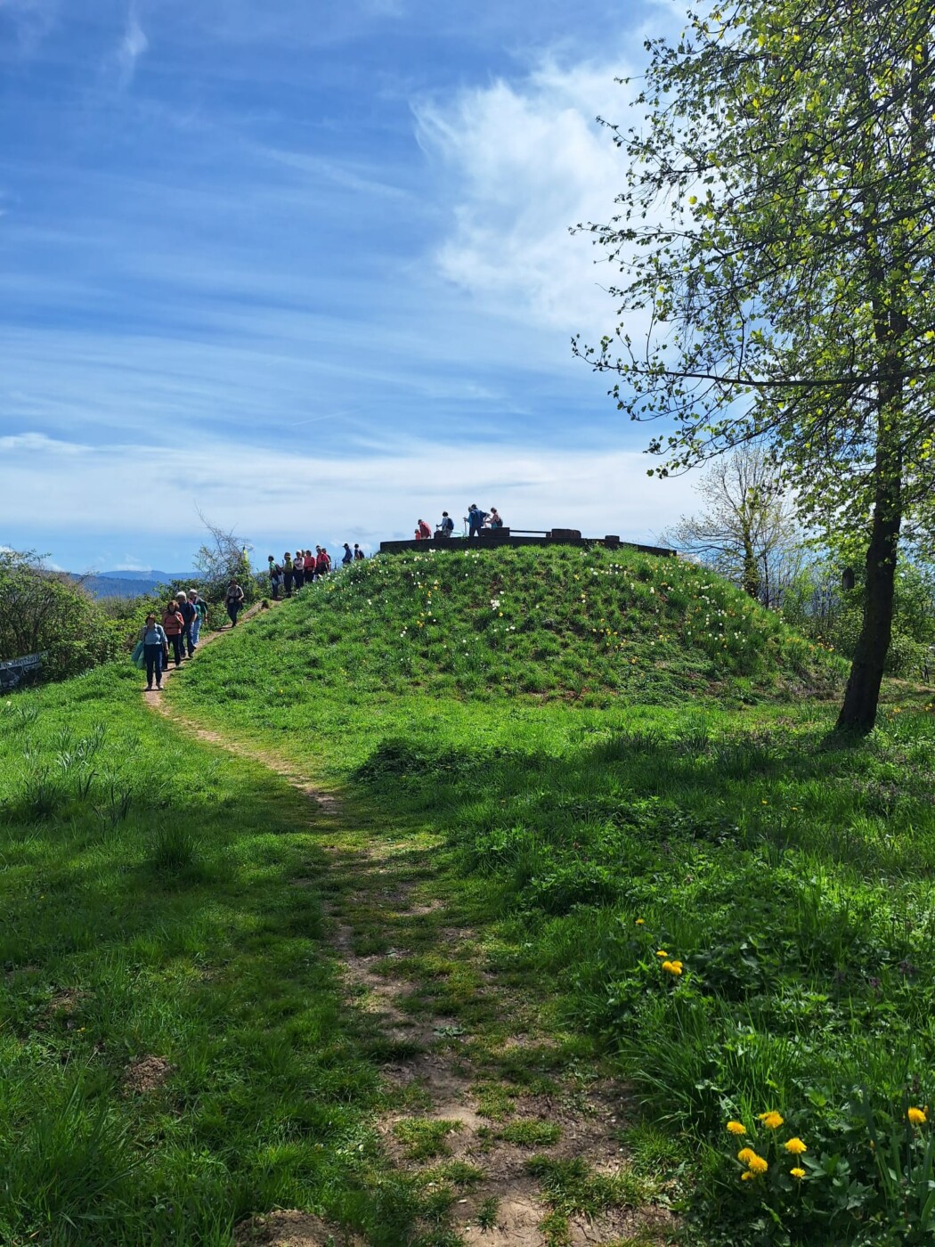 PHOTO-2026-04-07-08-12-48